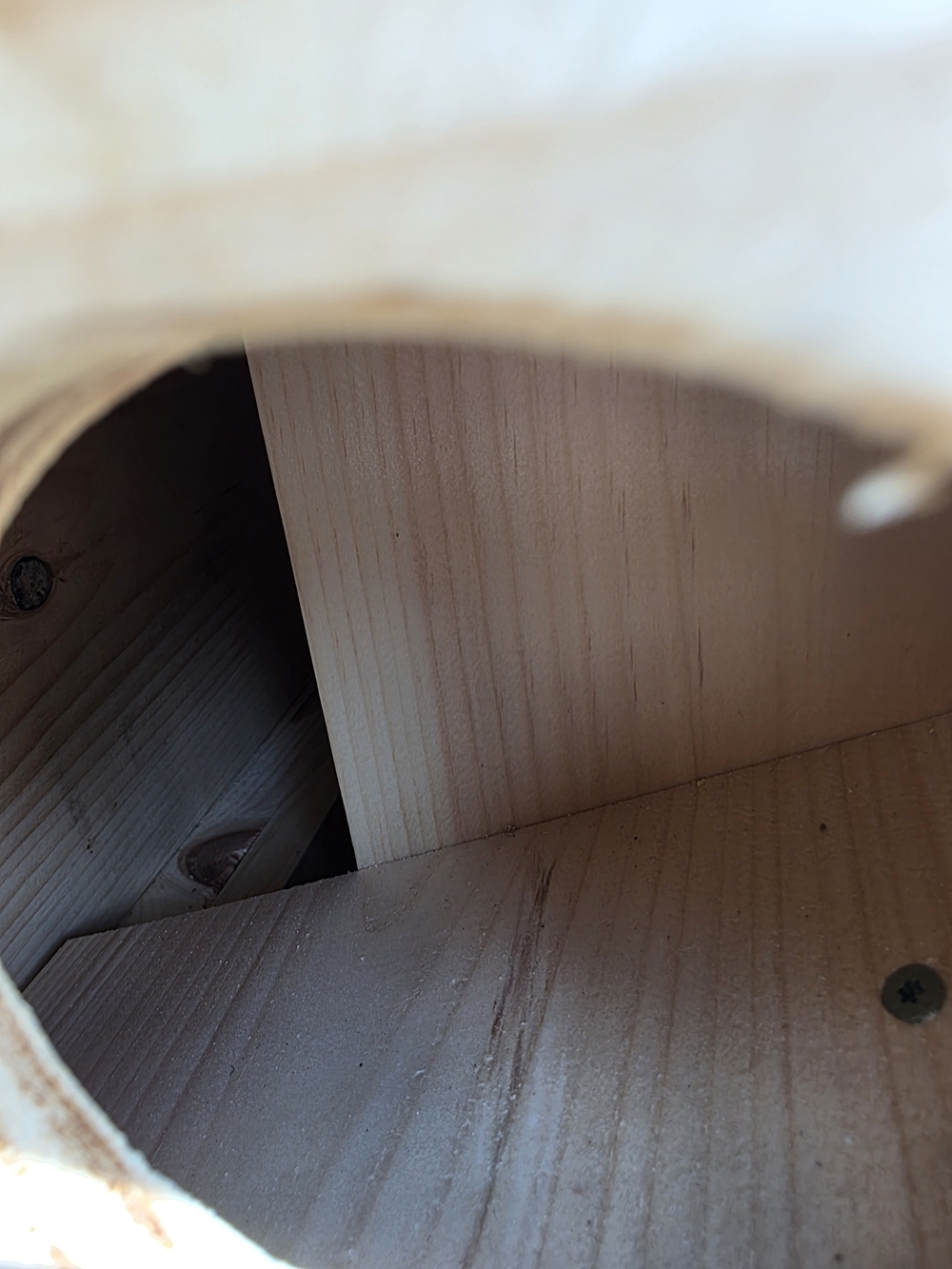 Large Squirrel House Box - Picture 10 of 10